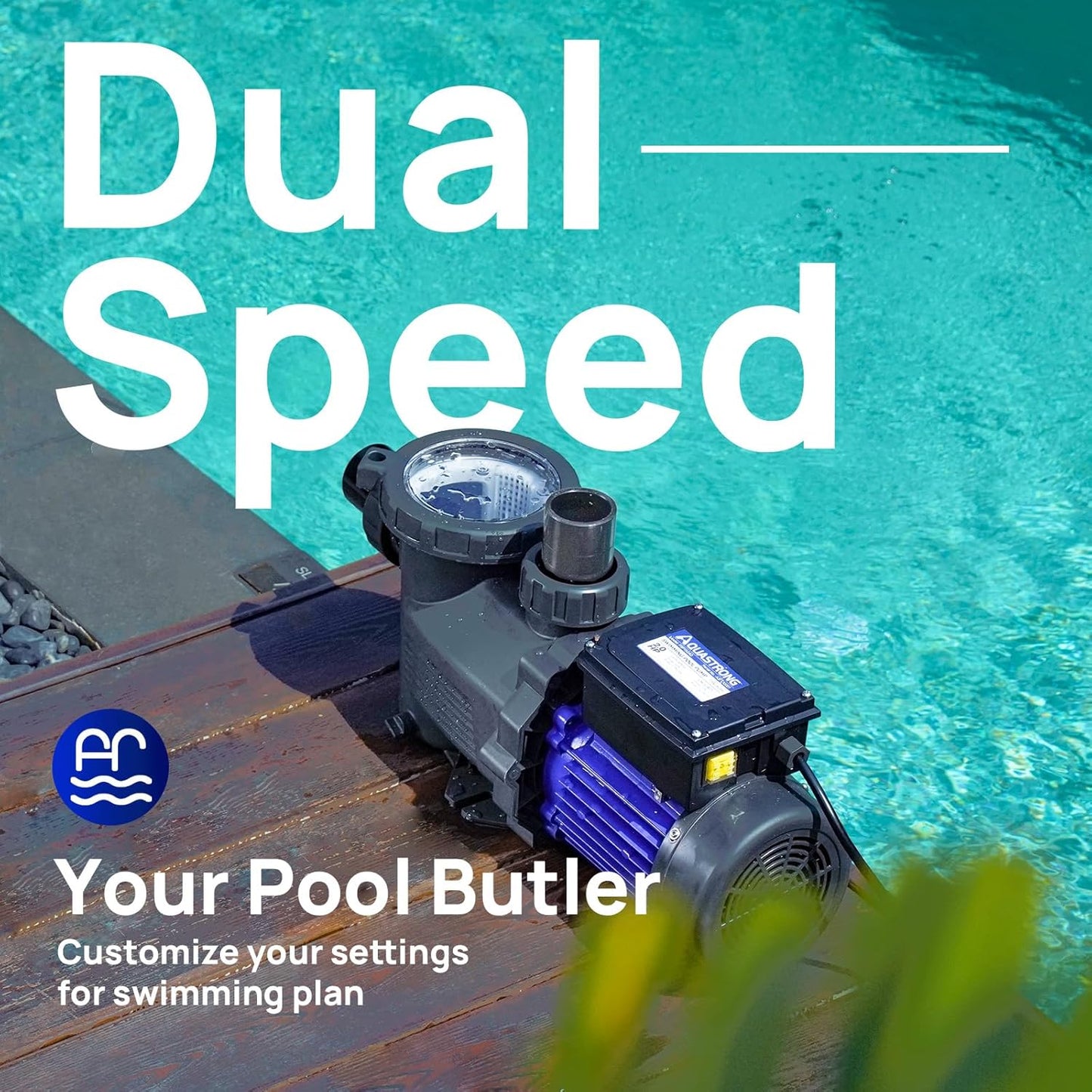In/Above Ground Pool Pump, High Flow (with Timer, 2HP, 8917 GPH, 220V)